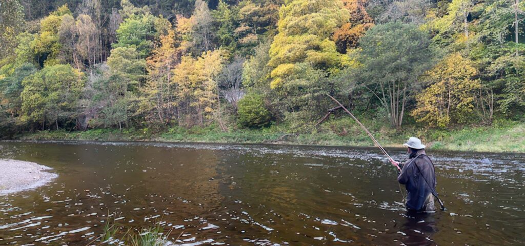 ca fly fishing guided fishing uk